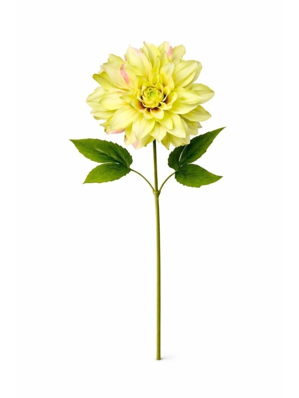 Green Dahlia Stem Artificial Flower 24 Inch 5 Inch Bloom Light Green